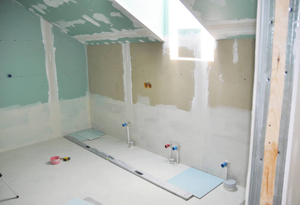 Best Biohazard Mold Removal  in New Town, ND