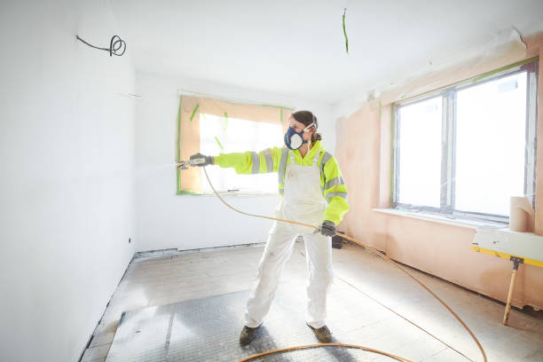 Best Asbestos and Lead Testing During Mold Inspection  in New Town, ND