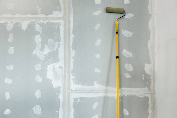 Best Mold Remediation for Healthcare Facilities  in New Town, ND