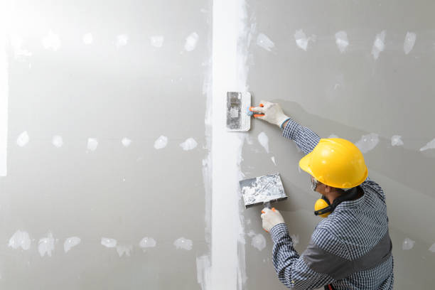 Trusted New Town, ND Mold Removal Experts